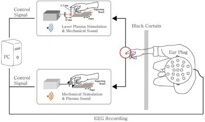 Mid-Air Tactile Sensations Evoked by Laser-Induced Plasma: A Neurophysiological Study
